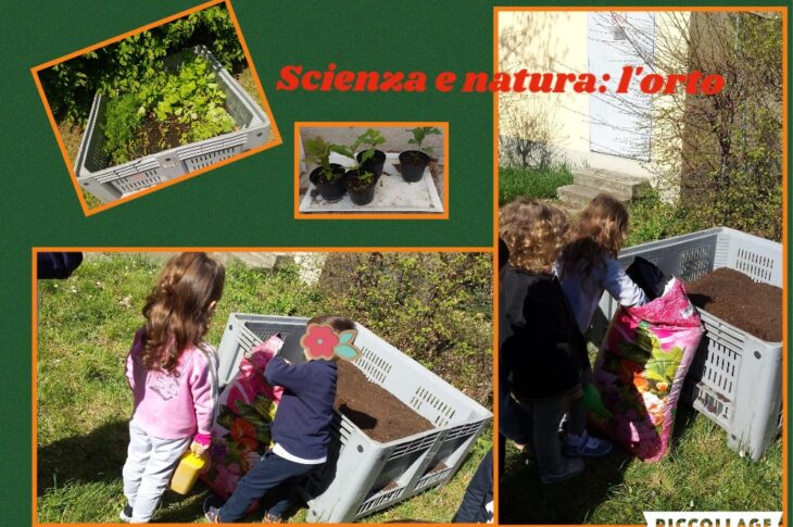 Scienza e natura l'orto